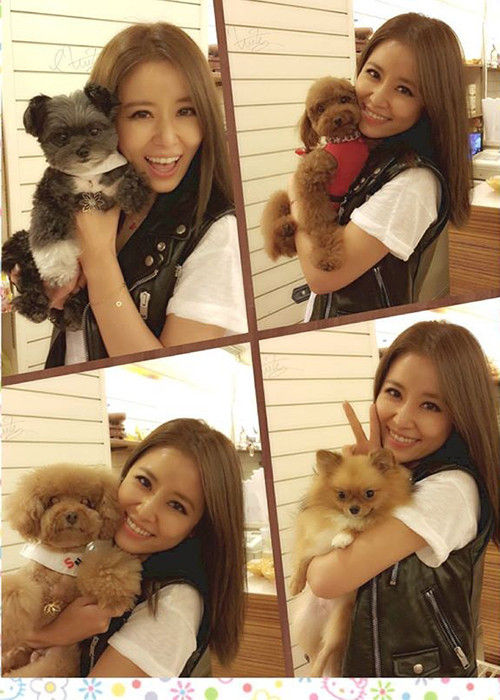 Hình ảnh bà xã của Hoắc Kiến Hoa vui đùa cùng những chú cún cưng khiến fan thích thú.