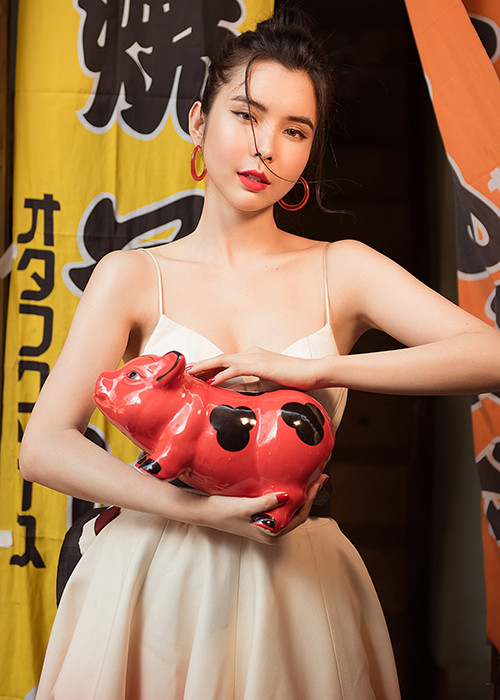 Sau cuộc thi, người đẹp tích cực tham gia trình diễn thời trang, dự sự kiện, các hoạt động thiện nguyện tại quê nhà.