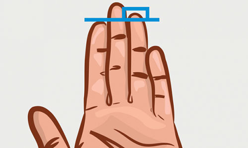 Nhin chieu dai ngon tay doan chuan tinh cach tot xau