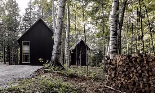 Goi y tuyet voi cho dai gia thich lam nha trong rung