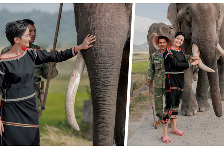 H’hen Niê có sở thích đi dép tổ ong, dép lào. Ảnh: Star1