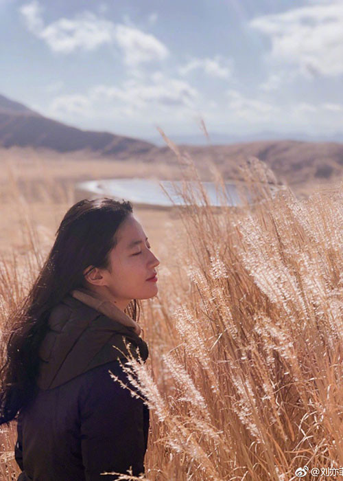 Khi không làm việc, Lưu Diệc Phi dành gần như toàn bộ thời gian để nghỉ ngơi.