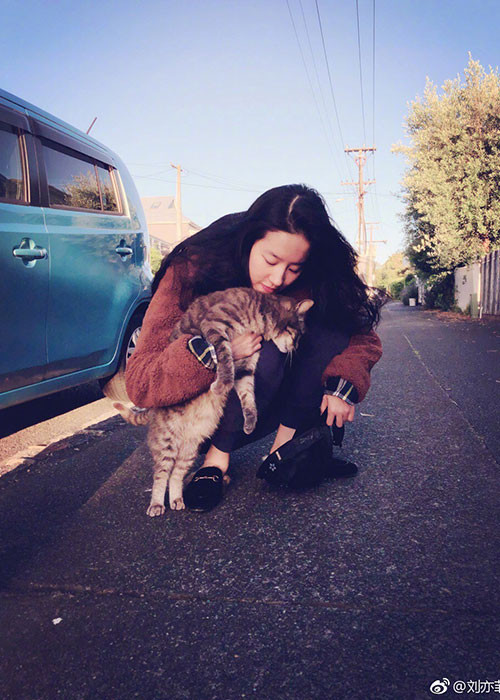 Tình cũ của Song Seung Hun được biết đến là người rất yêu động vật.