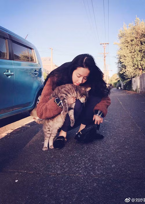 Tình cũ của Song Seung Hun được biết đến là người rất yêu động vật.