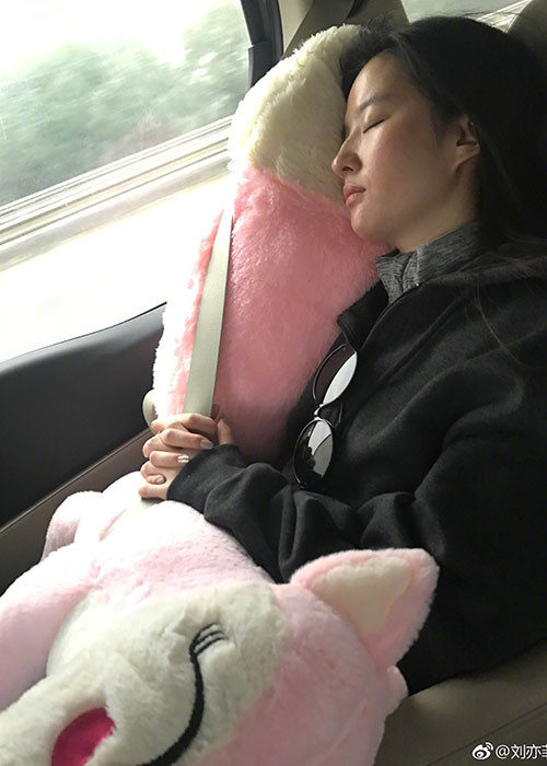 Nổi tiếng từ năm 16 tuổi, Lưu Diệc Phi đã luôn miệt mài làm việc và bị dư luận, truyền thông chú ý trong suốt 16 năm qua.