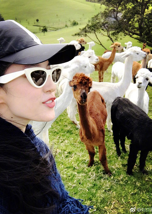 Sau khi chia tay tài tử phim "Trái tim mùa thu", Lưu Diệc Phi vẫn chọn cách sống kín đáo.