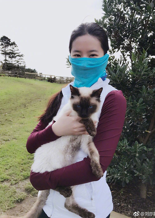 Nữ diễn viên thường xuyên khoe những chú mèo mà cô coi là bạn thân.