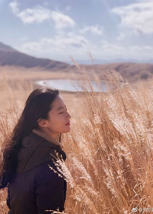 Cuoc song phia sau anh hao quang cua Luu Diec Phi