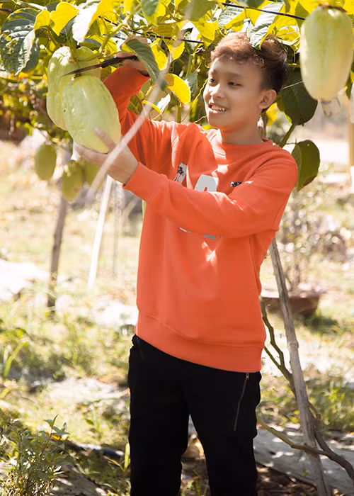 Cậu nhóc càng lớn càng điển trai.