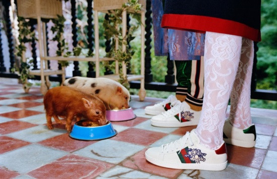 ... giày và cả chiếc balo Supreme trứ danh của Gucci nhưng có lẽ đặc sắc nhất là hình ảnh bộ phim hoạt hình “The Three Little Pigs (Ba chú heo con)” nổi tiếng của Walt Disney.