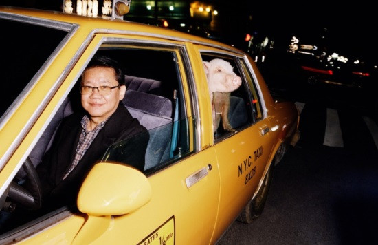 Gucci “Year of the Pig” là tuyên ngôn của hãng và chú heo được tôn vinh một cách tự nhiên, hiện hữu trong những khung hình đời thường chân thật và đáng yêu.