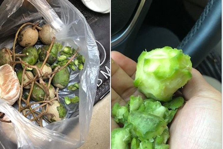 Hòa Minzy cũng từng khoe bạn trai không ngại dùng răng bào vỏ cóc để cô ăn ngon miệng hơn. Ảnh: Thế giới trẻ