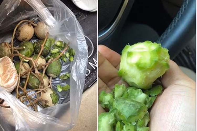 Hòa Minzy cũng từng khoe bạn trai không ngại dùng răng bào vỏ cóc để cô ăn ngon miệng hơn. Ảnh: Thế giới trẻ