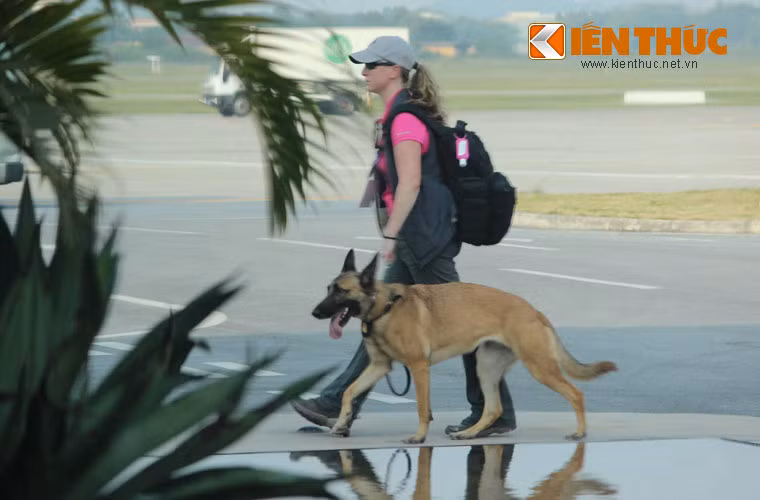 Chó nghiệp vụ K9 được nữ nhân viên mật vụ sử dụng.