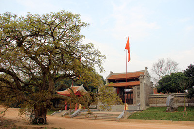 Đến nay, có nhiều ý kiến phân tích về nguyên nhân dẫn tới cái chết của Trần Nguyên Hãn. Thứ nhất được bắt nguồn từ những tranh giành quyền lực trong triều đình nhà Lê thời hậu chiến.