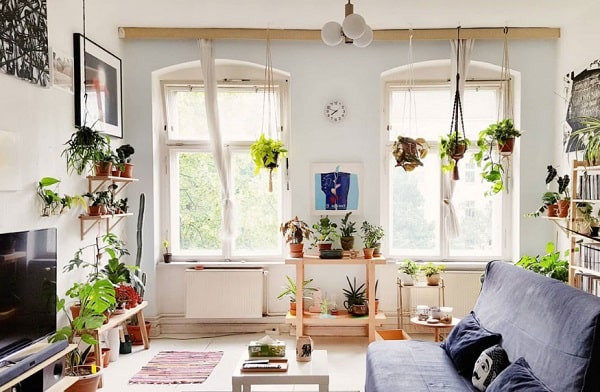 Lọc không khí bằng nhiều cây xanh: Lan ý, cây nhện, cây hoa đồng tiền... là những loại cây giúp lọc không khí. Mang những loại cây này vào nhà vừa giúp làm đẹp nhà vừa giúp lọc không khí bẩn.