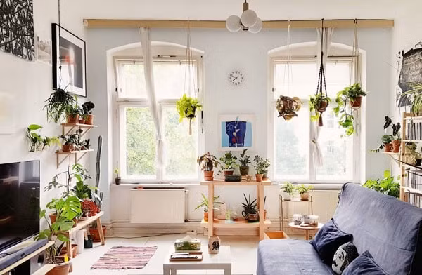 Lọc không khí bằng nhiều cây xanh: Lan ý, cây nhện, cây hoa đồng tiền... là những loại cây giúp lọc không khí. Mang những loại cây này vào nhà vừa giúp làm đẹp nhà vừa giúp lọc không khí bẩn.