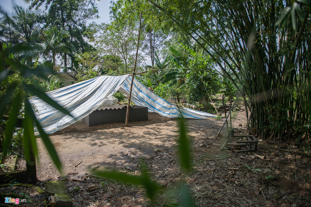 Người phi công anh hùng sẽ an nghỉ dưới bóng khóm tre nơi vườn nhà (Ảnh: Zing). Mộ phần của cha, mẹ Anh hùng Nguyễn Văn Bảy nằm ngay sát nơi yên nghỉ của ông.