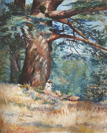 Ông vẽ nhiều tranh phong cảnh Pháp, Algeria. Thỉnh thoảng trong tranh của vua Hàm Nghi mới xuất hiện hình bóng con người. Nhiều người có thể cảm nhận tranh của ông thể hiện một tâm hồn cô đơn, buồn bã.