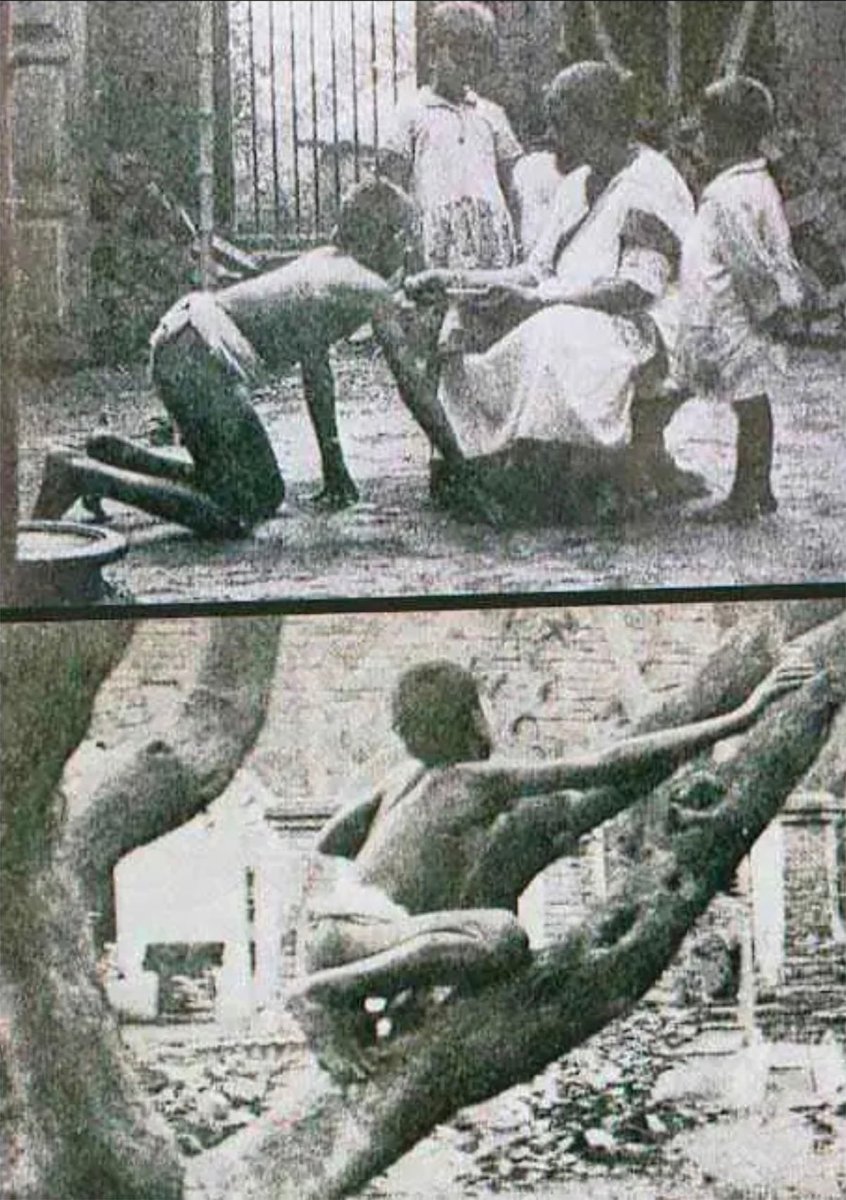 Vào năm 1895, Sanichar qua đời vì căn bệnh lao. Khi ấy, chàng trai "người rừng" 35 tuổi.