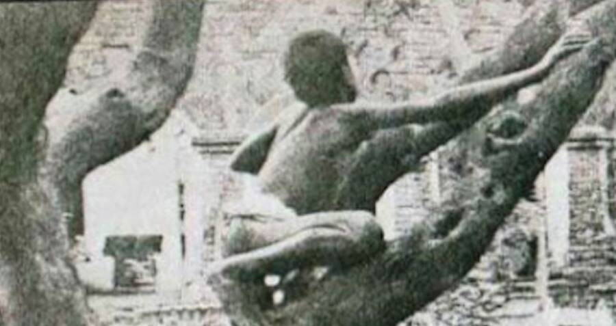 Mãi về sau, cậu bé "rừng xanh" Sanichar mới học được cách tự mặc quần áo.