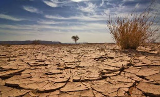 Trong số này có việc 35% diện tích đất và 55% dân số toàn cầu sẽ phải hứng chịu 20 ngày có nhiệt độ cao chết người mỗi năm. Do đó, các trận cháy rừng, sóng nhiệt, hạn hán nguy hiểm sẽ xảy ra.