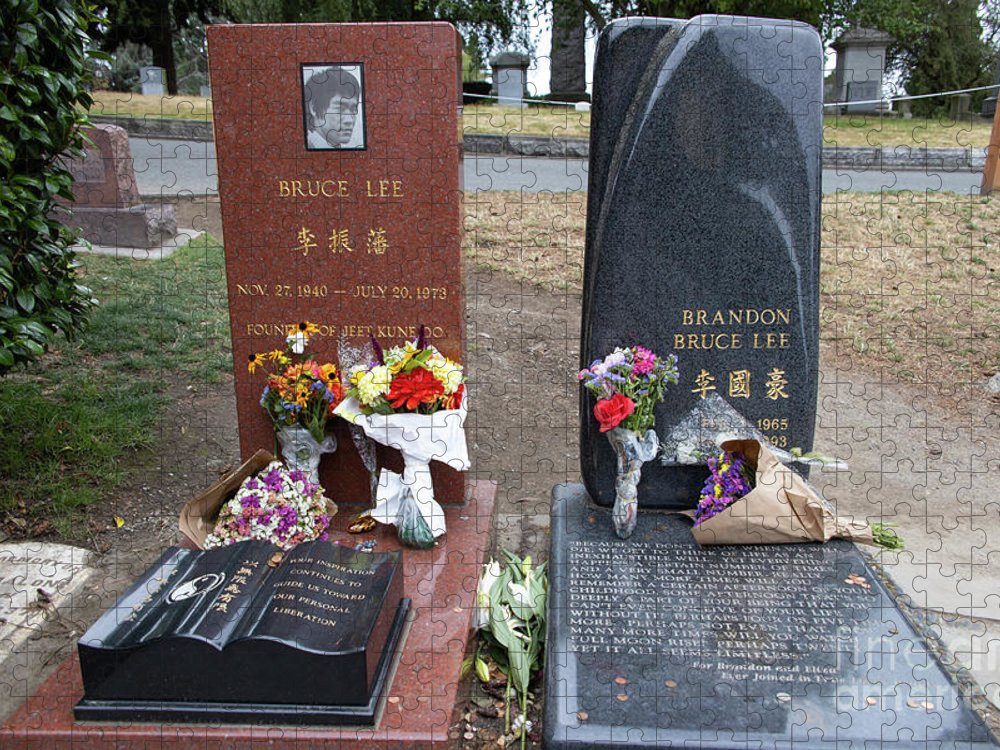 Sau 4 tiếng phẫu thuật, Lý Quốc Hào tử vong. Theo đó, ông chết trong tai nạn trên phim trường ở tuổi 28. Đúng như lời tiên tri, Lý Quốc Hào chết trẻ hơn bố. Điều này khiến công chúng không khỏi bàng hoàng, đau xót.