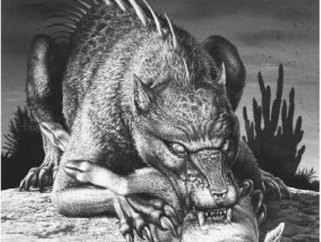 Một giả thuyết khác suy đoán Chupacabra thực chất có thể là một con chó sói, cáo hay chó hoang. Nó tấn công gia súc để thỏa mãn cơn đói. Do nhìn từ xa nên có thể nhân chứng có những mô tả sai lệch về chúng.