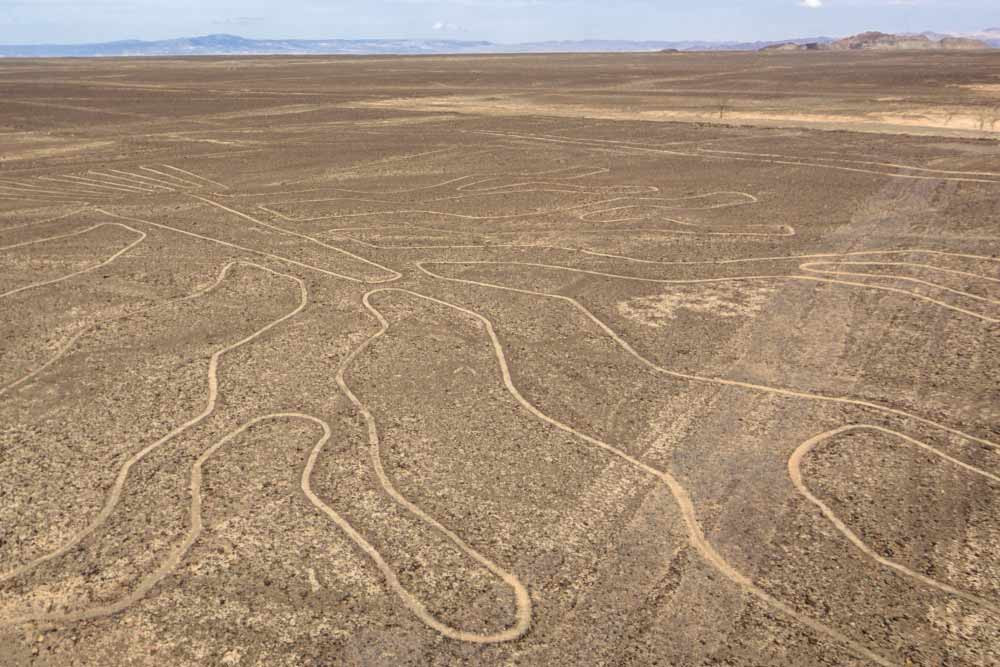 Giới nghiên cứu phát hiện hơn 1.000 hình vẽ dưới dạng hình học khổng lồ và mô phỏng động vật như khỉ, chim ruồi, cá voi... Những hình vẽ này chỉ có thể nhìn thấy rõ từ trên cao.