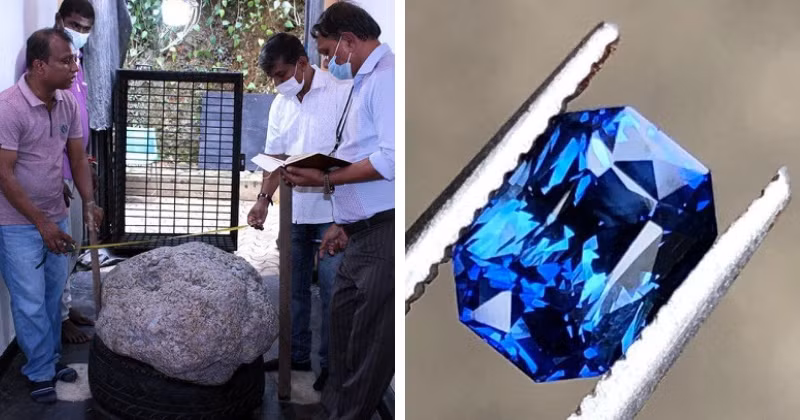 Thilak Weerasinghe, Chủ tịch Cơ quan Trang sức và Đá quý Quốc gia Sri Lanka, cho biết về phát hiện trên: "Đây là một mẫu sapphire sao đặc biệt, có lẽ là lớn nhất thế giới. Với kích thước và giá trị lớn như vậy, chúng tôi nghĩ rằng nó sẽ thu hút quan tâm từ các nhà sưu tập hoặc bảo tàng tư nhân".
