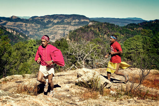 Không những vậy, người Tarahumara không mắc nhiều bệnh tật như cao huyết áp, tiểu đường, bệnh tim hay ung thư.