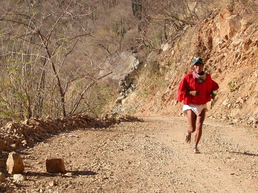 Theo thời gian, khả năng chạy bộ của từng thành viên Tarahumara tăng lên đáng kể và trở thành những "vận động viên" cừ khôi.