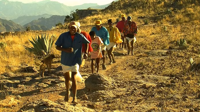 Bo toc noi tieng sieu khoe co the chay 2 ngay khong met