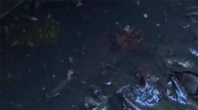 Mo ngoi mo nghin nam tuoi, chuyen gia run ray khi thay 