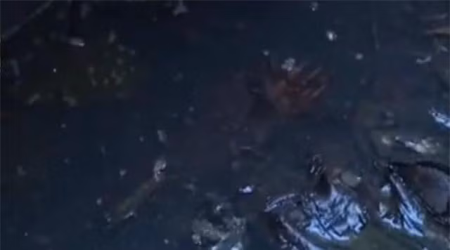 Mo ngoi mo nghin nam tuoi, chuyen gia run ray khi thay 