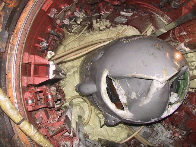 Theo một số nội dung được giới chức Nga công bố, tàu ngầm hạt nhân K-141 Kursk gặp sự cố nguy hiểm khi chuẩn bị phóng một ngư lôi huấn luyện Type-65 với mục tiêu là tàu Peter Đại đế.