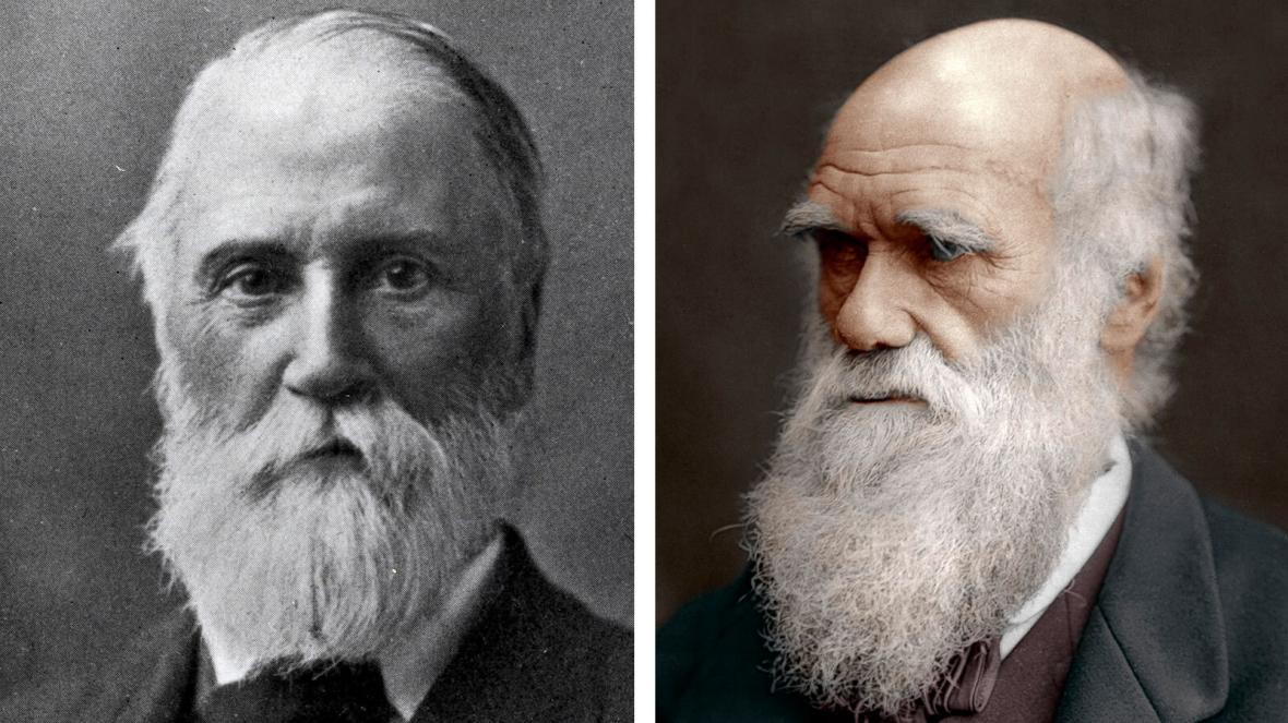 Thậm chí, một số người còn cho rằng Charles Darwin là "kẻ điên" vì cho rằng nghiên cứu khoa học của ông đi ngược lại với những điều được viết trong Kinh Thánh và các tài liệu tôn giáo khác.