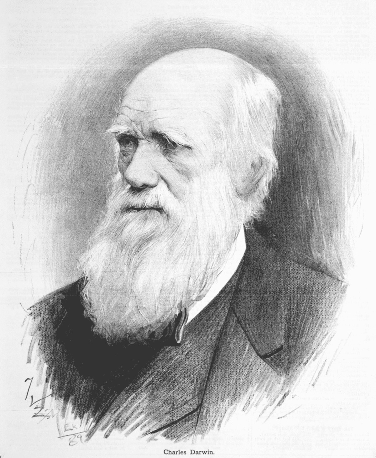 Charles Darwin tiến hành một số dự án đầu tư. Trong số này có việc ông đầu tư vào nghành đường sắt và thu về một khoản lợi nhuận không nhỏ.