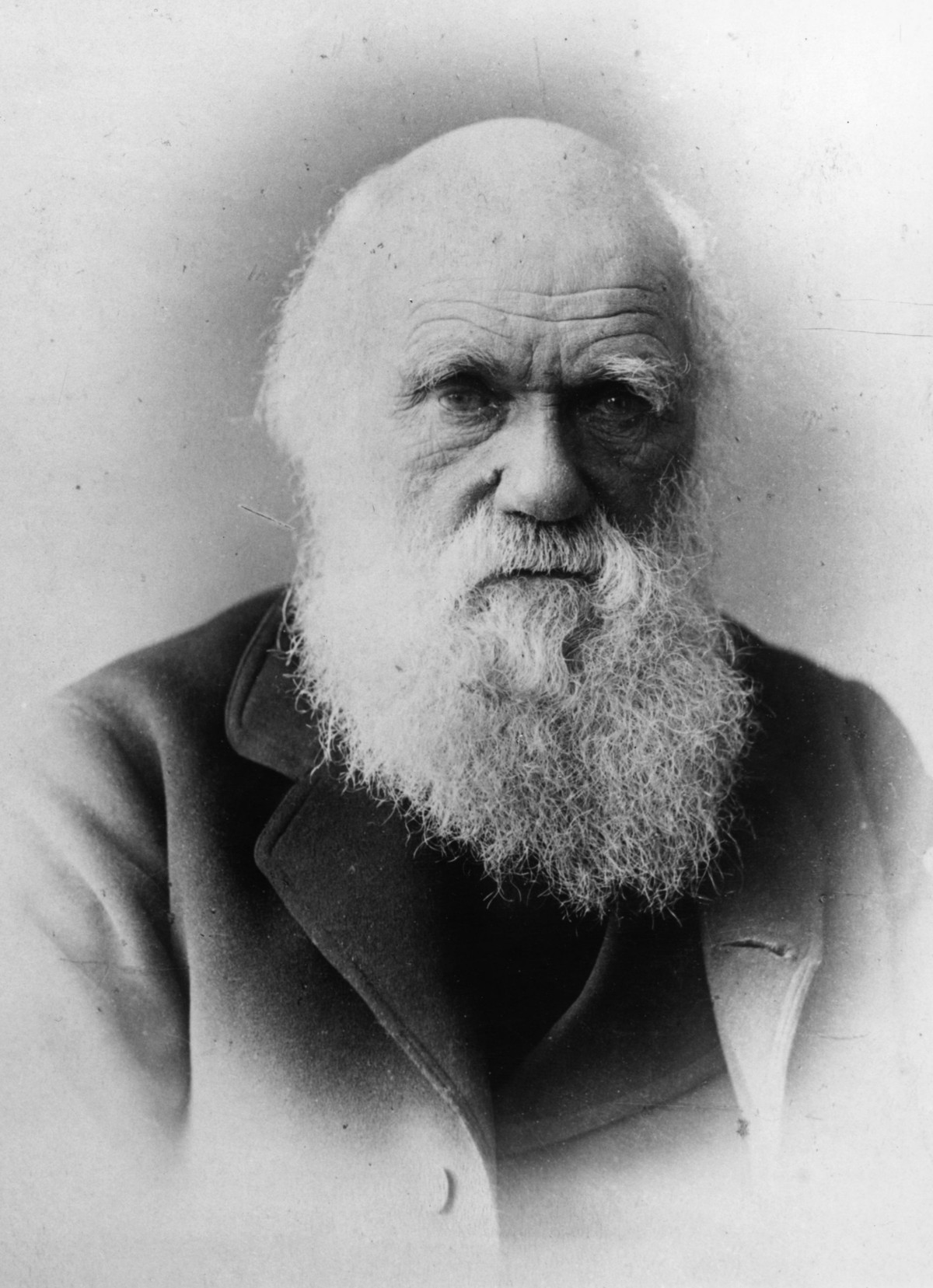Không chỉ là một nhà bác học thành công trong lĩnh vực khoa học, Charles Darwin gây chú ý khi biết cách sử dụng bộ óc thiên tài của mình đề kiếm tiền giúp gia đình có cuộc sống sung túc.