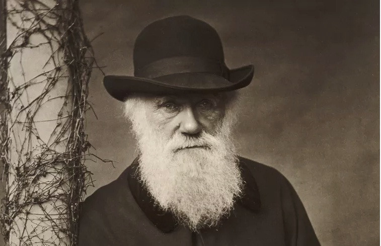 "Cha đẻ" thuyết tiến hóa Charles Darwin (1809 - 1882) là nhà nghiên cứu nổi tiếng trong lĩnh vực tự nhiên học người Anh.