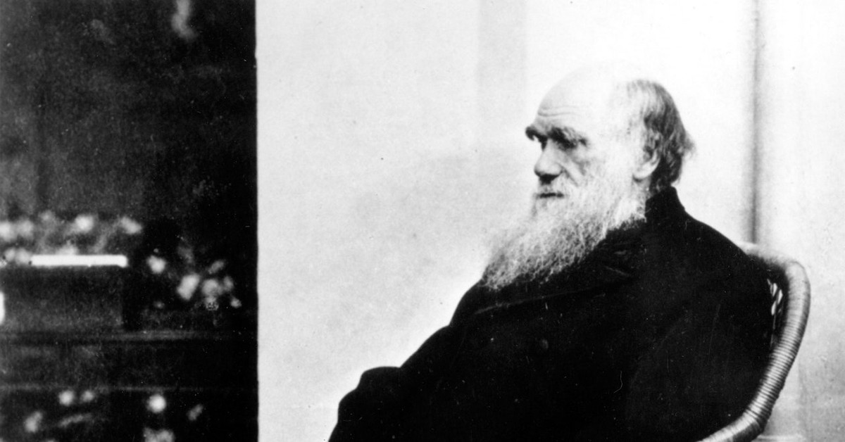 Dù bận rộn nghiên cứu khoa học nhưng Charles Darwin vẫn dành thời gian quan tâm, chăm sóc và vun vén hạnh phúc cho gia đình.