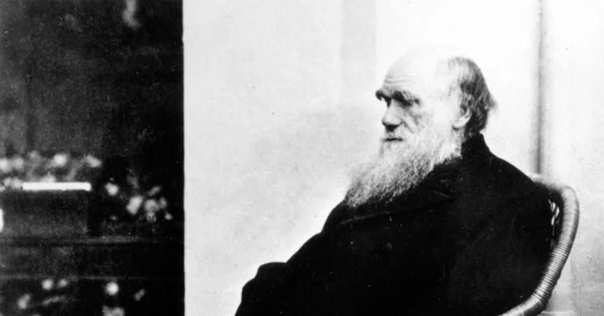 Dù bận rộn nghiên cứu khoa học nhưng Charles Darwin vẫn dành thời gian quan tâm, chăm sóc và vun vén hạnh phúc cho gia đình.