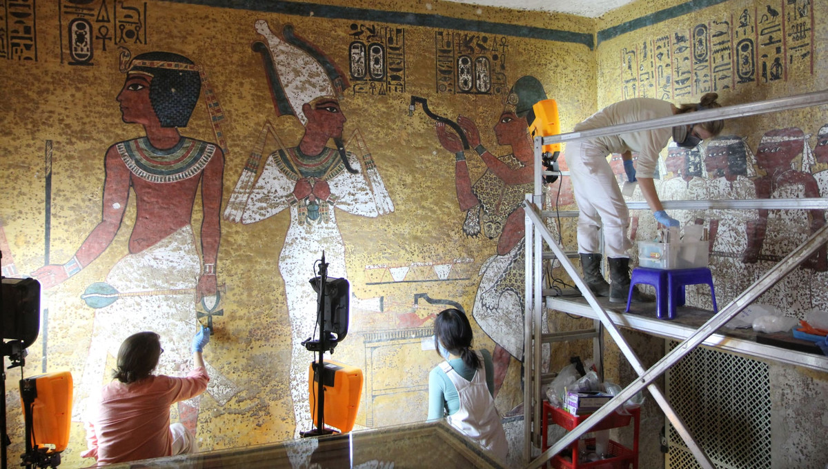 Khi tiến vào bên trong hầm mộ, nhóm khảo cổ càng có nhiều bất ngờ hơn. Đầu tiên là việc họ tìm thấy những bông hoa dùng trong lễ tang của pharaoh Ai Cập trong tình trạng khô héo. Chúng nằm đúng vị trí được rải vào khoảng năm 1325 trước Công nguyên.