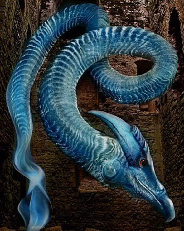 Tương truyền, Minhocão sinh sống trên Trái đất từ thời khủng long vẫn còn tồn tại. Để phù hợp với điều kiện sinh sống mới, loài vật bí ẩn này trú ngụ ở sâu trong lòng đất.