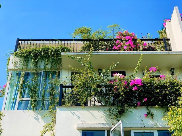 6 loai hoa trong ban cong mang den tai van tot cho gia chu-Hinh-6