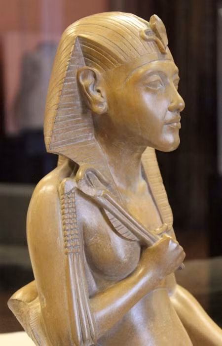 Theo đó, nhóm chuyên gia lập hình mẫu cơ mặt và dây chằng ở mô hình hộp sọ theo quy tắc giải phẫu. Lớp da được đặt lên trên cùng. Họ xác định độ dày mô là giá trị trung bình thông qua thuật toán khoa học.