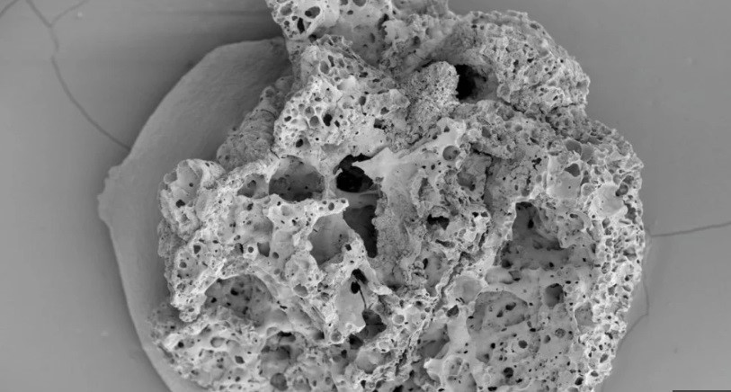 Theo nghiên cứu của một số chuyên gia, bánh mì xuất hiện từ ít nhất 14.500 năm trước. Các chuyên gia tìm được bằng chứng tại một địa điểm khai quật tại Tây Bắc Jordan.