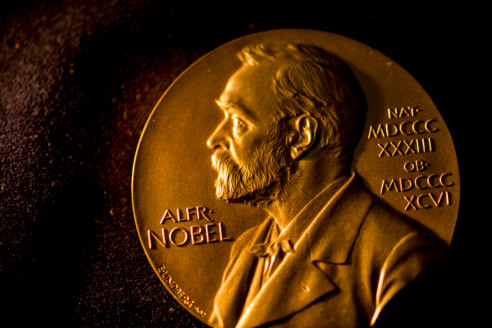 Tính đến năm 2013, Đan Mạch có 14 cá nhân giành giải Nobel. Những người đoạt giải Nobel chủ yếu ở lĩnh vực văn học, y học.