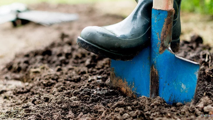 Theo các ghi chép lịch sử, vào khoảng thế kỷ 13 - 20, một số người trở thành mộ tặc để kiếm được những khoản tiền lớn ăn chơi, tiêu xài.