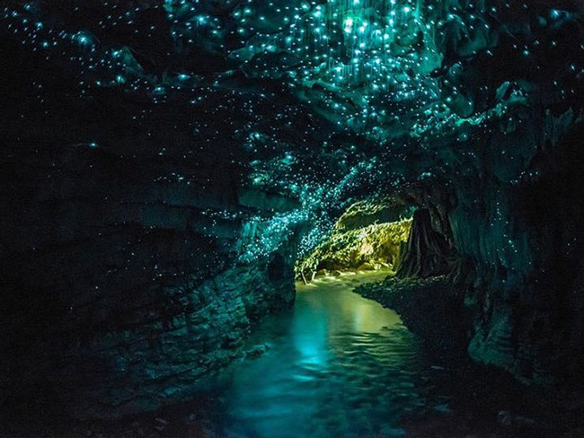 Hang động Waitomo Glowworm ở New Zealand: Hang động nằm ở New Zealand này phát ra ánh sáng rất kỳ lạ, nhưng chúng xuất phát từ tự nhiên và là kết quả của một loại sinh vật sống trong hang động có biệt danh là "giun phát sáng".